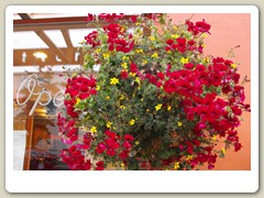 Flowers on the streets of Anchorage