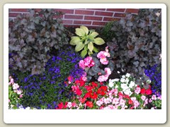 Flowers on the streets of Anchorage