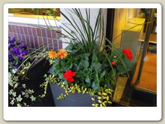 Flowers on the streets of Anchorage