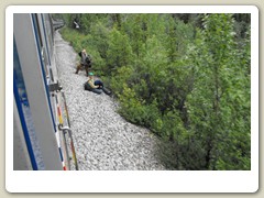 Hikers by the train tracks
