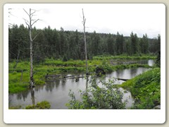 Alaska wilderness