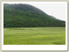 Alaska wilderness