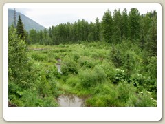 Alaska wilderness