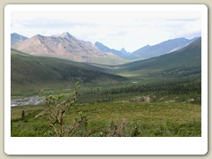 Scenic views in Tombstone Park