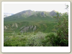 Scenic views in Tombstone Park