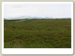 More of the rolling hills