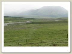 Denali Park