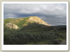 Denali Park