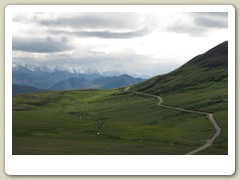 Denali Park