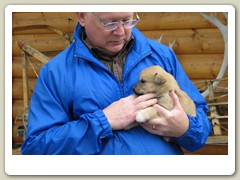 John with a husky pup