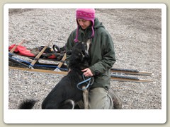 A worker with a husky