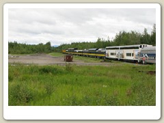 Fairbanks to Denali