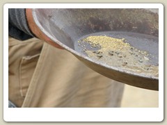 Panning for gold