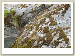 Mendenhall Glacier Park