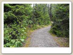 Mendenhall Glacier Park