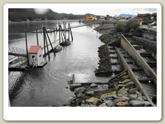 Salmon ladder