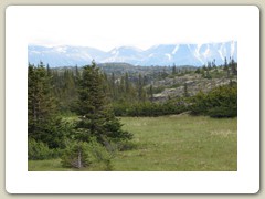 Lots more scenery