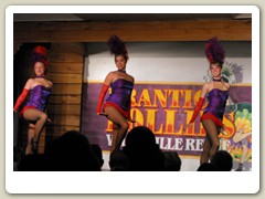 Frantic Follies
