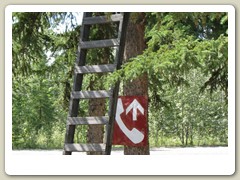 Moose Creek Lodge artwork