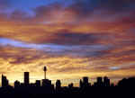 sydney-night.jpg (33294 bytes)