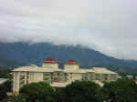cairns-02.jpg (43457 bytes)