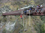 bungy-01.jpg (100208 bytes)