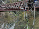 bungy-04.jpg (99636 bytes)