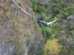 bungy-05.jpg (94343 bytes)