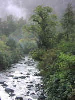 sound-10.jpg (60096 bytes)