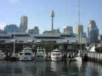 harbour-10.jpg (69066 bytes)
