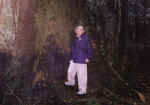 falls04.jpg (66654 bytes)