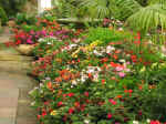 gardens-02.jpg (116873 bytes)