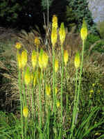 gardens-06.jpg (81912 bytes)