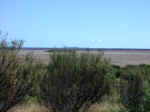 outback-09.jpg (71324 bytes)
