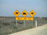 sign-01.jpg (29921 bytes)