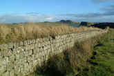 hadrian_wall01.jpg (51295 bytes)