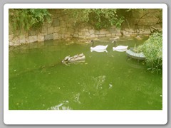 Park across the street from our hotel