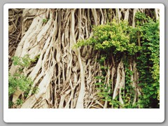 Park across the street from our hotel