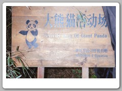 Giant Panda exhibit
