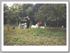 Family having a picnic by the parking lot of the preserve