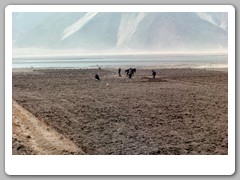 Workers in teh field