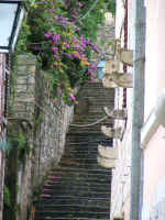 cavtat03.JPG (118699 bytes)