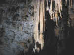 cave06.JPG (57742 bytes)