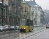 Pc050295.jpg (72406 bytes)