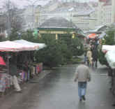 Pc170009.jpg (62343 bytes)