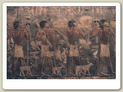 Saqqara Pyramids - much older than the Great Pyramids