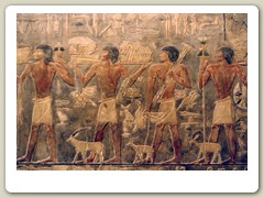 Saqqara Pyramids - much older than the Great Pyramids