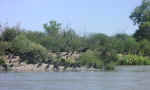 river float12.jpg (53312 bytes)
