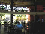 guaymus15.jpg (71367 bytes)