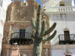 San Xavier20.jpg (78900 bytes)